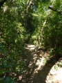 Les Gorges du Gardon