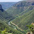 Les gorges du Tarn