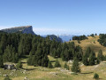 Les Haut Plateaux du Vercors