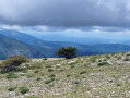 Les iles de Lérins