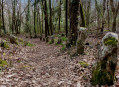 Les Menhirs de l'Appenthal