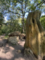 Les menhirs