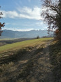 Les Monts du Matin et...un rapace!