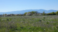 les Monts du Pilat