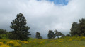 Les nuages arrivent