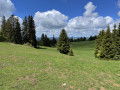 Les p&acirc;turages du Jura neuch&acirc;telois.
