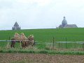 Les Tartares à Provins