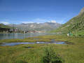 Les tourbières de l'amont du lac