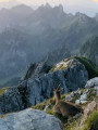 Lever du soleil sur le Dent d'Oche