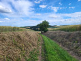 Lieu-dit "Mulvat", à Lucheux