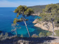 Roustagnon de Bandol et chemin du littoral