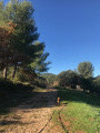 Forêt de La Penne-sur-Huveaune