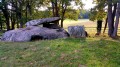 Magnifique spécimen de dolmen