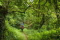 Magnifiques chemins creux