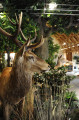 Autour du Boulevard Nature : Arche de la Nature, la Maison de la Forêt