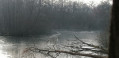 Marais de l'Essonne en hiver