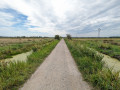 Marais de Savenay