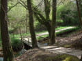 Marais et bois de Penfoulic à Fouesnant