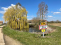 Mare de Saint-Laurent-La-Gâtine