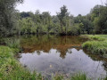 Mare Route de la fontaine Ursine