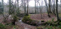 De Vaucresson à Chaville à travers la Forêt de Fausses Reposes