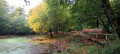 Pond
