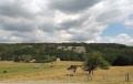 Massif de Boine