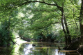 Méandre de l'Indre sauvage