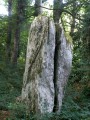 Menhir de Pont Evet