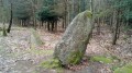 La tournée des mégalithes en Forêt de Floranges