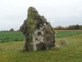 Menhir