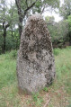 Menhir