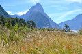 Milford Sound