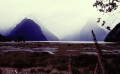 Milford sound