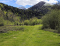 Montagne du Rey - Les pelouses du bas du ruisseau de La Pomme