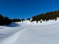 Crêt Coquet et le Signal en boucle au départ de Hautecour