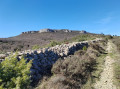Dent de Rez par le Col d'Eyrole