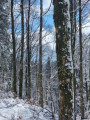 La Vallée de la Savoureuse