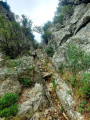 Ascent to Roc Rodon