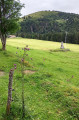 Monument des Chasseurs alpins au Gaschney