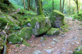 Moraines près du lac d'Altenweiher