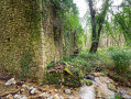 Moulin de Fougassière - Le broc