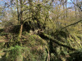 Moulin en ruine