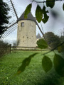 Le Bois de la Folie au départ de Pouzauges