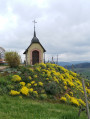 Münsterblick