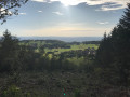 Boucle du Mont Tournier par le Chemin de la Boissière