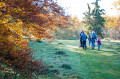 HOCHGEHBERGE-Tour "hochgehhütet" - Sentier de randonnée premium au Beutenlay