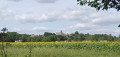 Le tour de Rouget le Braconnier