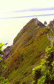 Nugget Point Lighthouses