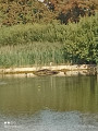 Au bout du Bois de la Deule